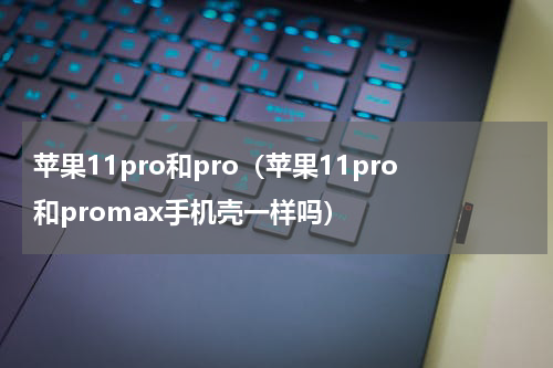 苹果11pro和pro（苹果11pro和promax手机壳一样吗）