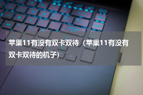 苹果11有没有双卡双待（苹果11有没有双卡双待的机子）