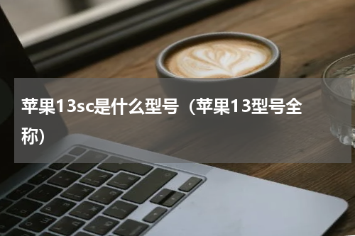 苹果13sc是什么型号（苹果13型号全称）