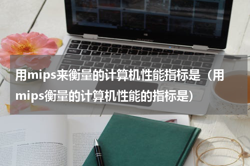用mips来衡量的计算机性能指标是（用mips衡量的计算机性能的指标是）