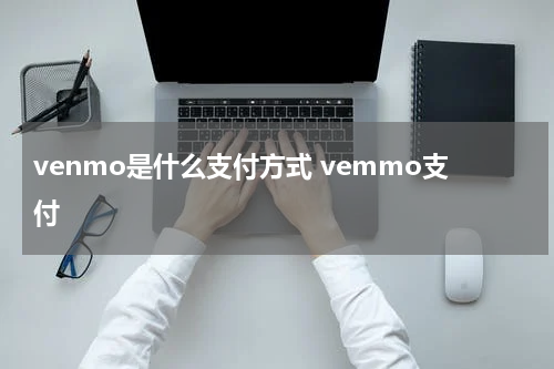venmo是什么支付方式 vemmo支付