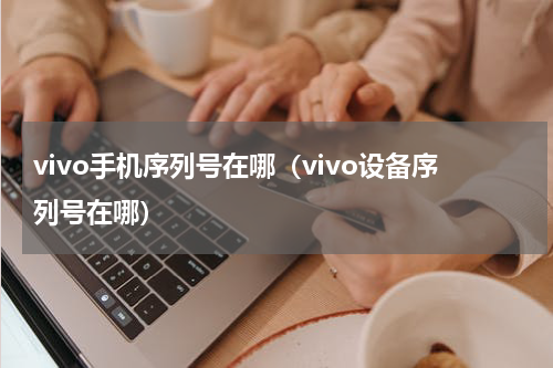 vivo手机序列号在哪（vivo设备序列号在哪）
