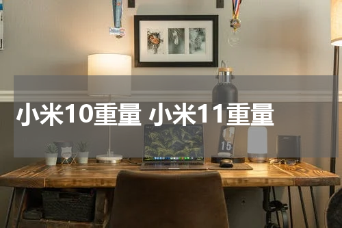 小米10重量 小米11重量