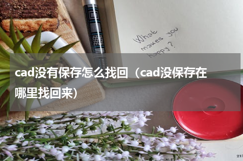 cad没有保存怎么找回（cad没保存在哪里找回来）