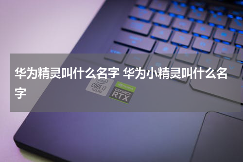 华为精灵叫什么名字 华为小精灵叫什么名字