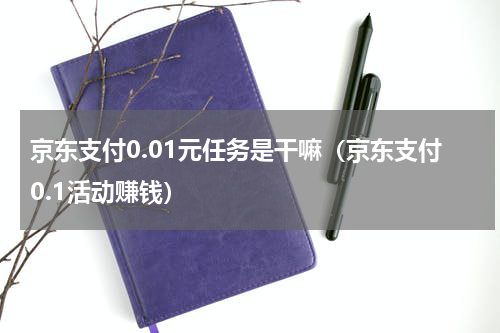 京东支付0.01元任务是干嘛（京东支付0.1活动赚钱）