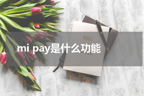 mi pay是什么功能