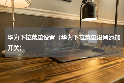 华为下拉菜单设置（华为下拉菜单设置添加开关）
