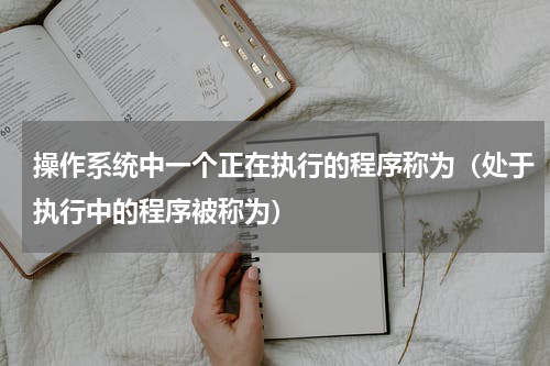 操作系统中一个正在执行的程序称为（处于执行中的程序被称为）