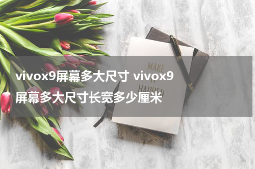 vivox9屏幕多大尺寸 vivox9屏幕多大尺寸长宽多少厘米
