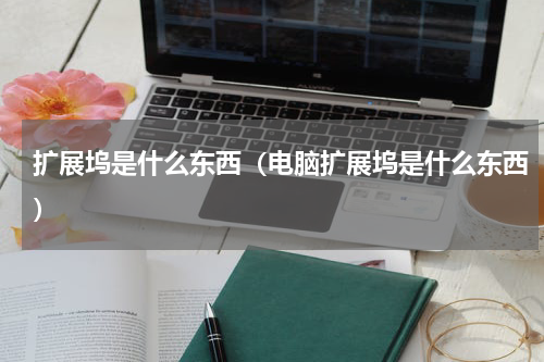 扩展坞是什么东西（电脑扩展坞是什么东西）