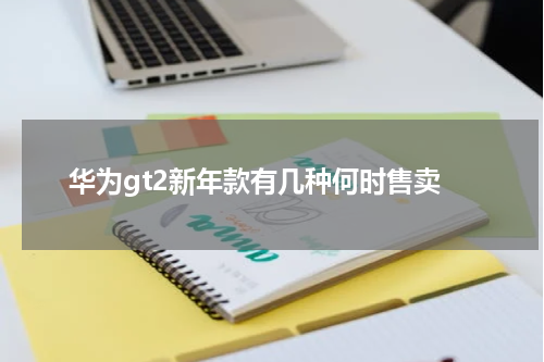 华为gt2新年款有几种何时售卖