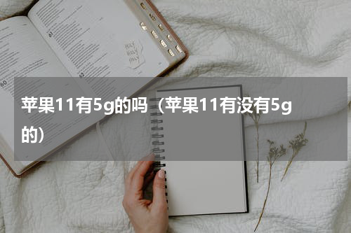 苹果11有5g的吗（苹果11有没有5g的）