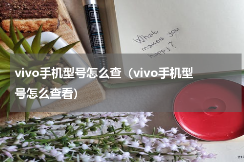 vivo手机型号怎么查（vivo手机型号怎么查看）