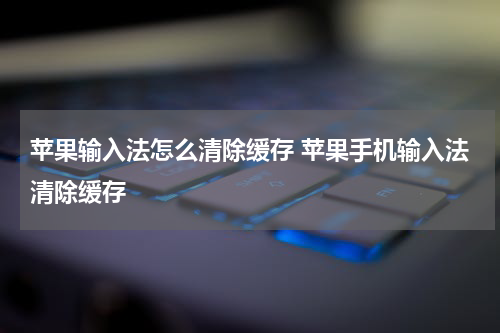 苹果输入法怎么清除缓存 苹果手机输入法清除缓存