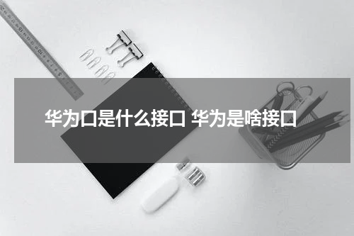 华为口是什么接口 华为是啥接口