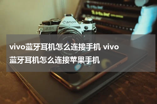 vivo蓝牙耳机怎么连接手机 vivo蓝牙耳机怎么连接苹果手机
