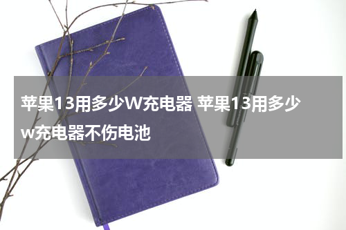 苹果13用多少W充电器 苹果13用多少w充电器不伤电池