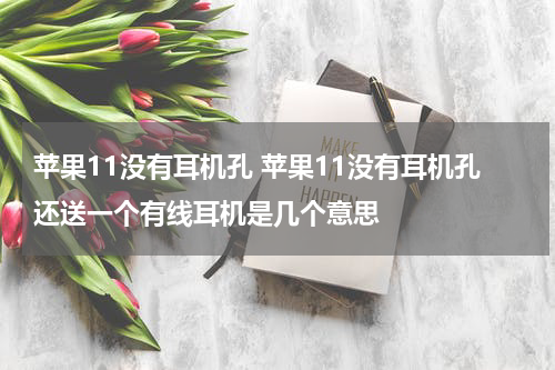 苹果11没有耳机孔 苹果11没有耳机孔还送一个有线耳机是几个意思