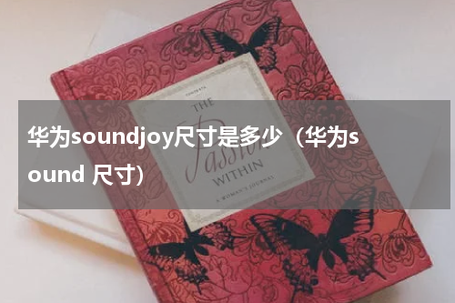 华为soundjoy尺寸是多少（华为sound 尺寸）