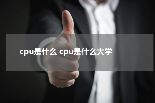 cpu是什么 cpu是什么大学