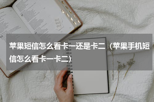 苹果短信怎么看卡一还是卡二（苹果手机短信怎么看卡一卡二）