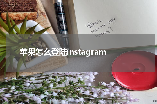 苹果怎么登陆instagram