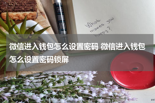 微信进入钱包怎么设置密码 微信进入钱包怎么设置密码锁屏