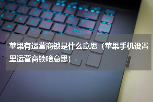 苹果有运营商锁是什么意思（苹果手机设置里运营商锁啥意思）