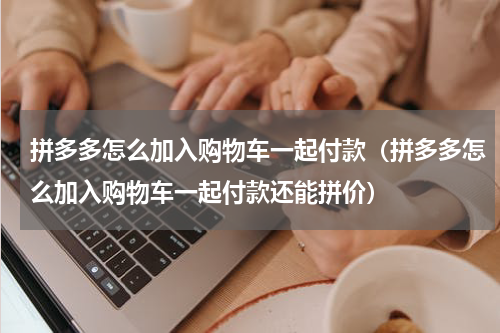 拼多多怎么加入购物车一起付款（拼多多怎么加入购物车一起付款还能拼价）