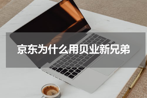 京东为什么用贝业新兄弟