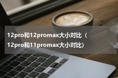 12pro和12promax大小对比（12pro和11promax大小对比）
