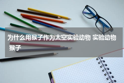 为什么用猴子作为太空实验动物 实验动物 猴子