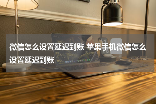 微信怎么设置延迟到账 苹果手机微信怎么设置延迟到账