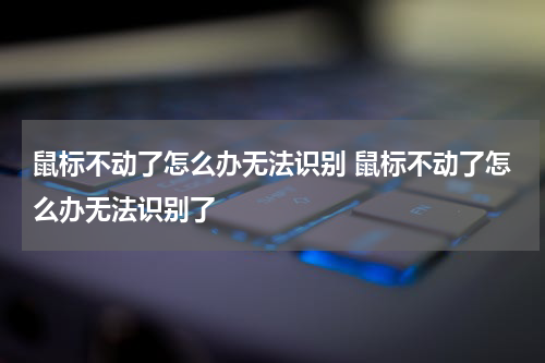 鼠标不动了怎么办无法识别 鼠标不动了怎么办无法识别了