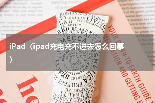 iPad（ipad充电充不进去怎么回事）