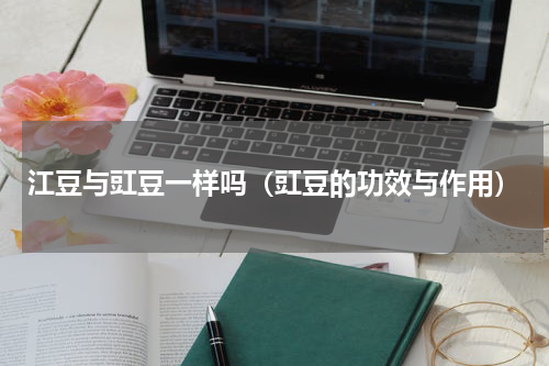 江豆与豇豆一样吗（豇豆的功效与作用）