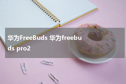 华为FreeBuds 华为freebuds pro2