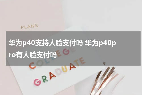 华为p40支持人脸支付吗 华为p40pro有人脸支付吗