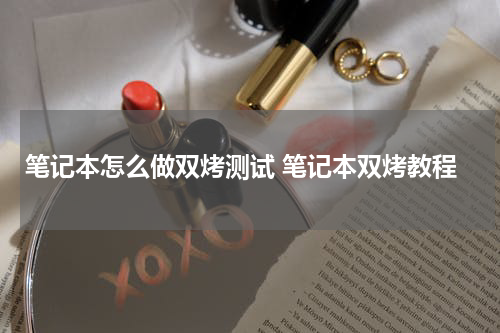 笔记本怎么做双烤测试 笔记本双烤教程