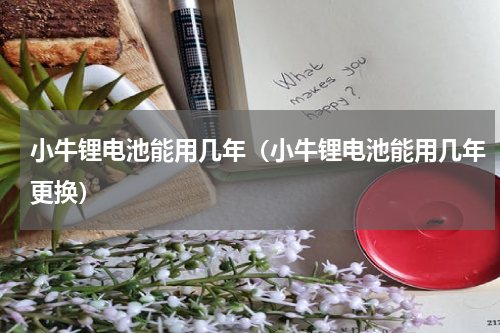 小牛锂电池能用几年（小牛锂电池能用几年更换）