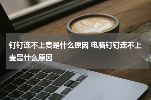 钉钉连不上麦是什么原因 电脑钉钉连不上麦是什么原因