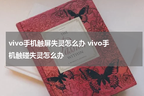 vivo手机触屏失灵怎么办 vivo手机触碰失灵怎么办