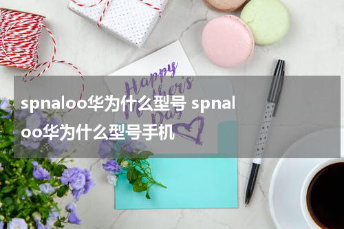 spnaloo华为什么型号 spnaloo华为什么型号手机