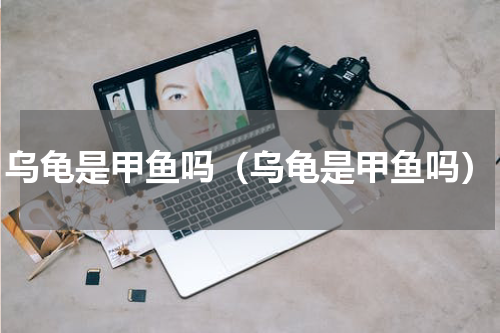 乌龟是甲鱼吗（乌龟是甲鱼吗）