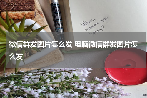 微信群发图片怎么发 电脑微信群发图片怎么发