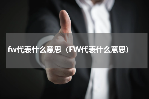 fw代表什么意思（FW代表什么意思）