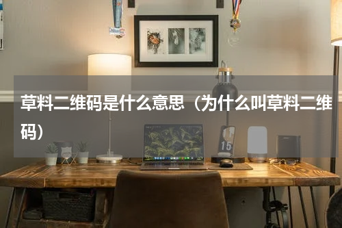 草料二维码是什么意思（为什么叫草料二维码）
