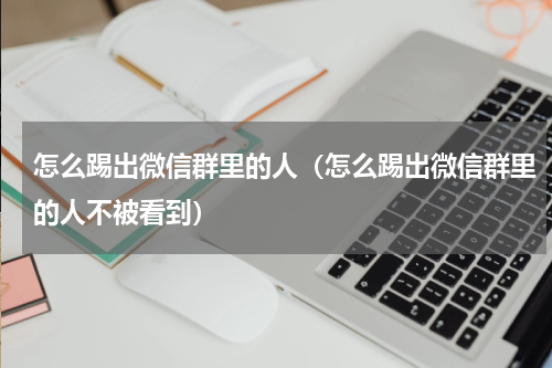 怎么踢出微信群里的人（怎么踢出微信群里的人不被看到）