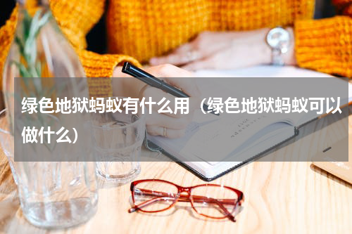 绿色地狱蚂蚁有什么用（绿色地狱蚂蚁可以做什么）